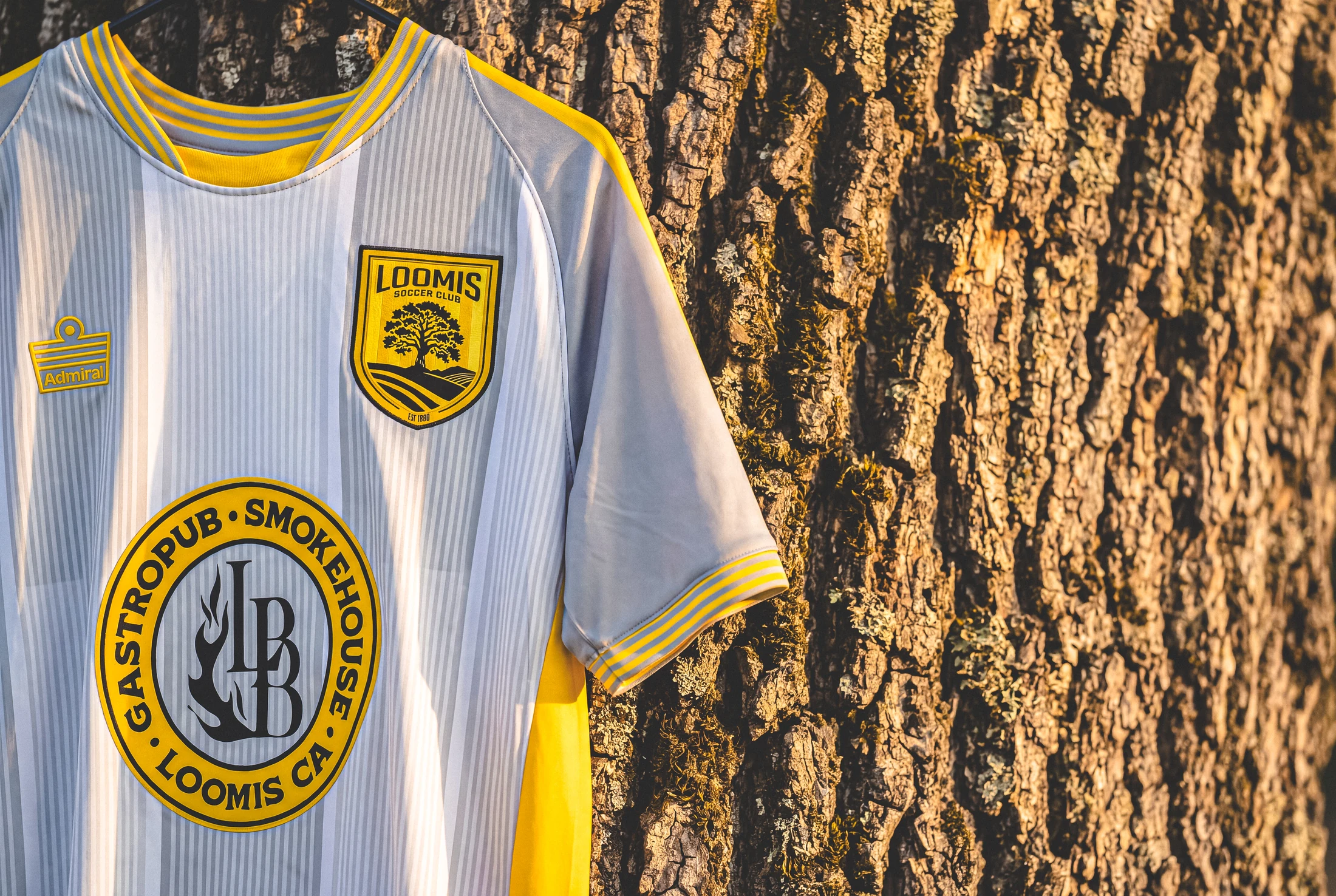 Loomis away shirt hanging beside an oak tree